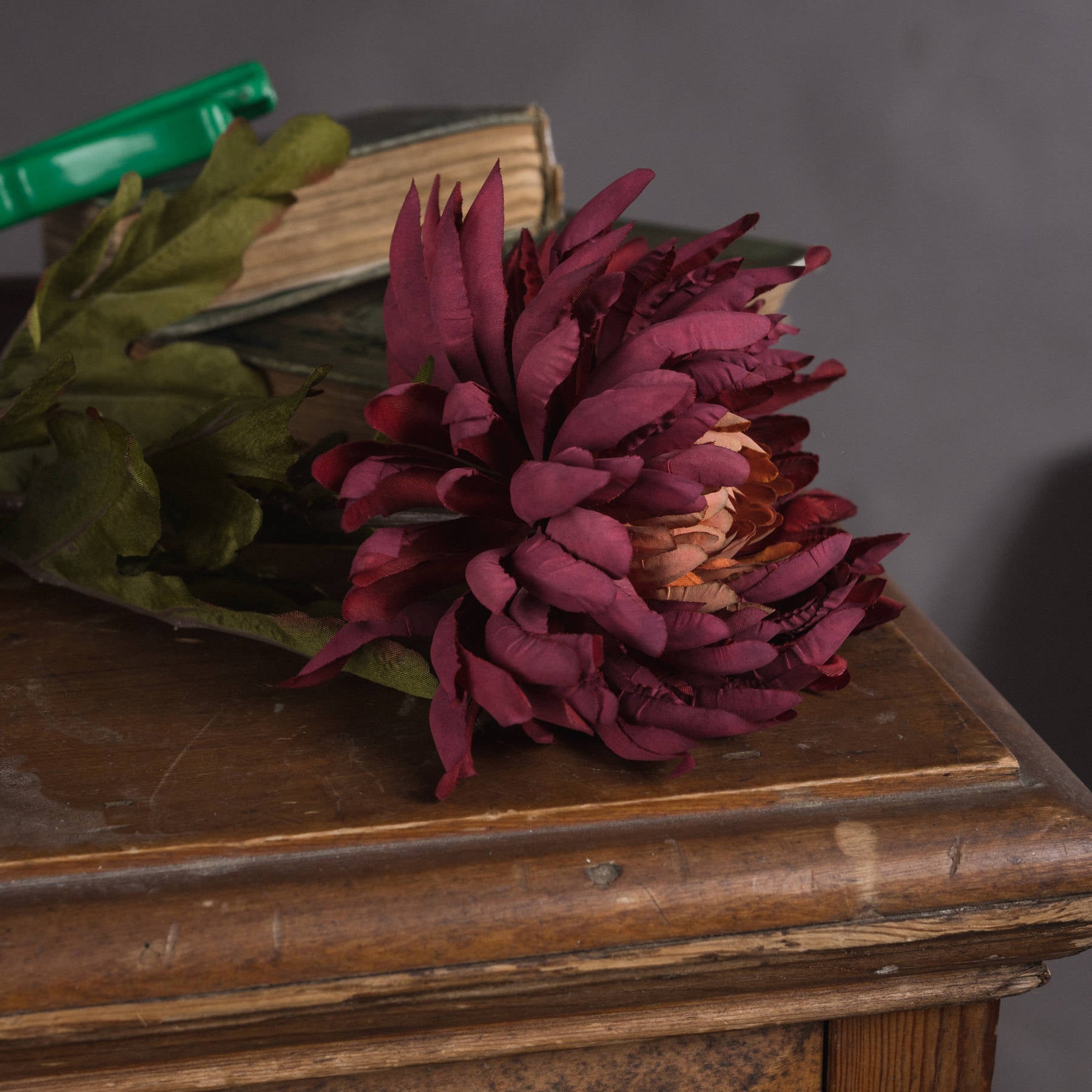 Autumn Spider Chrysanthemum 78 cm