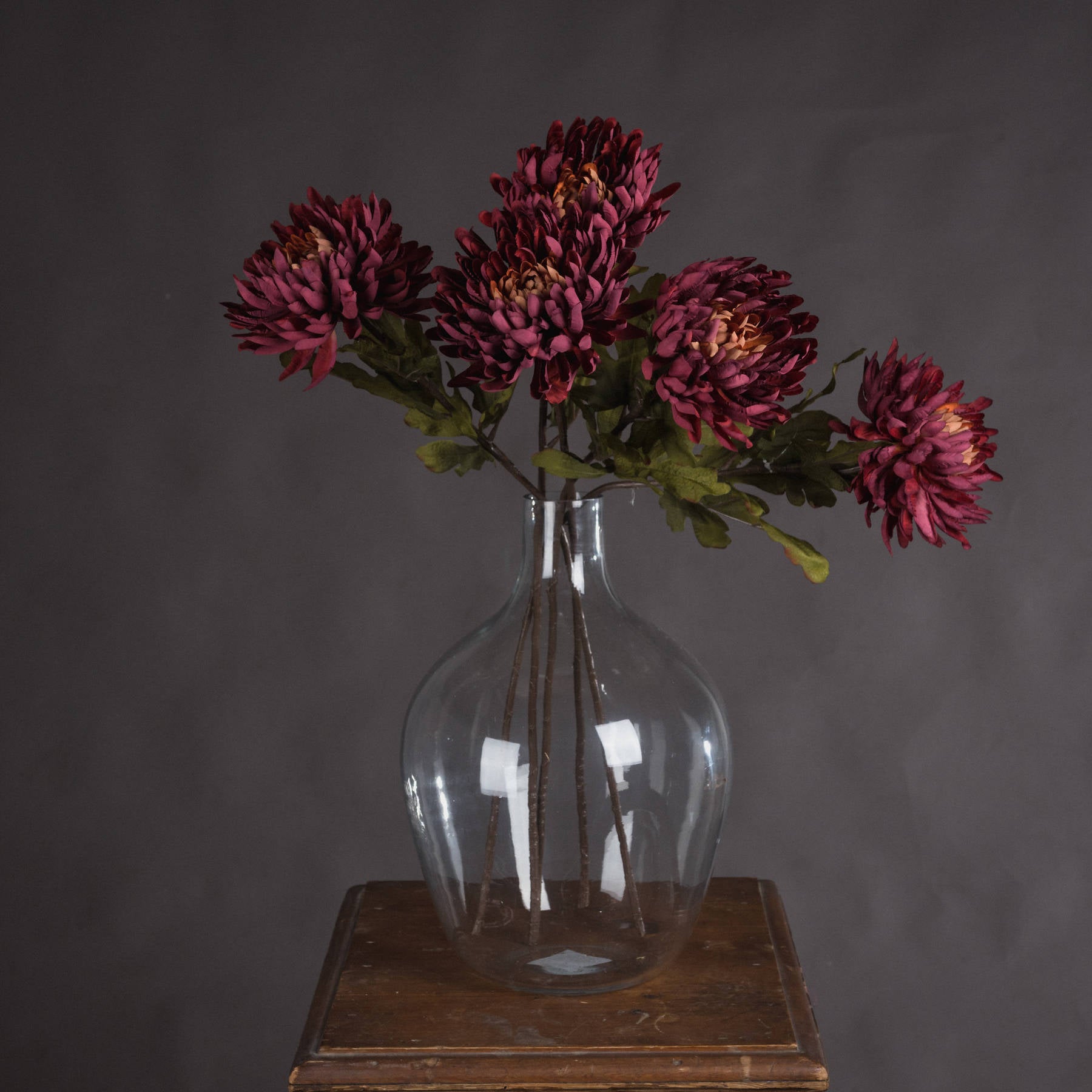 Autumn Spider Chrysanthemum 78 cm