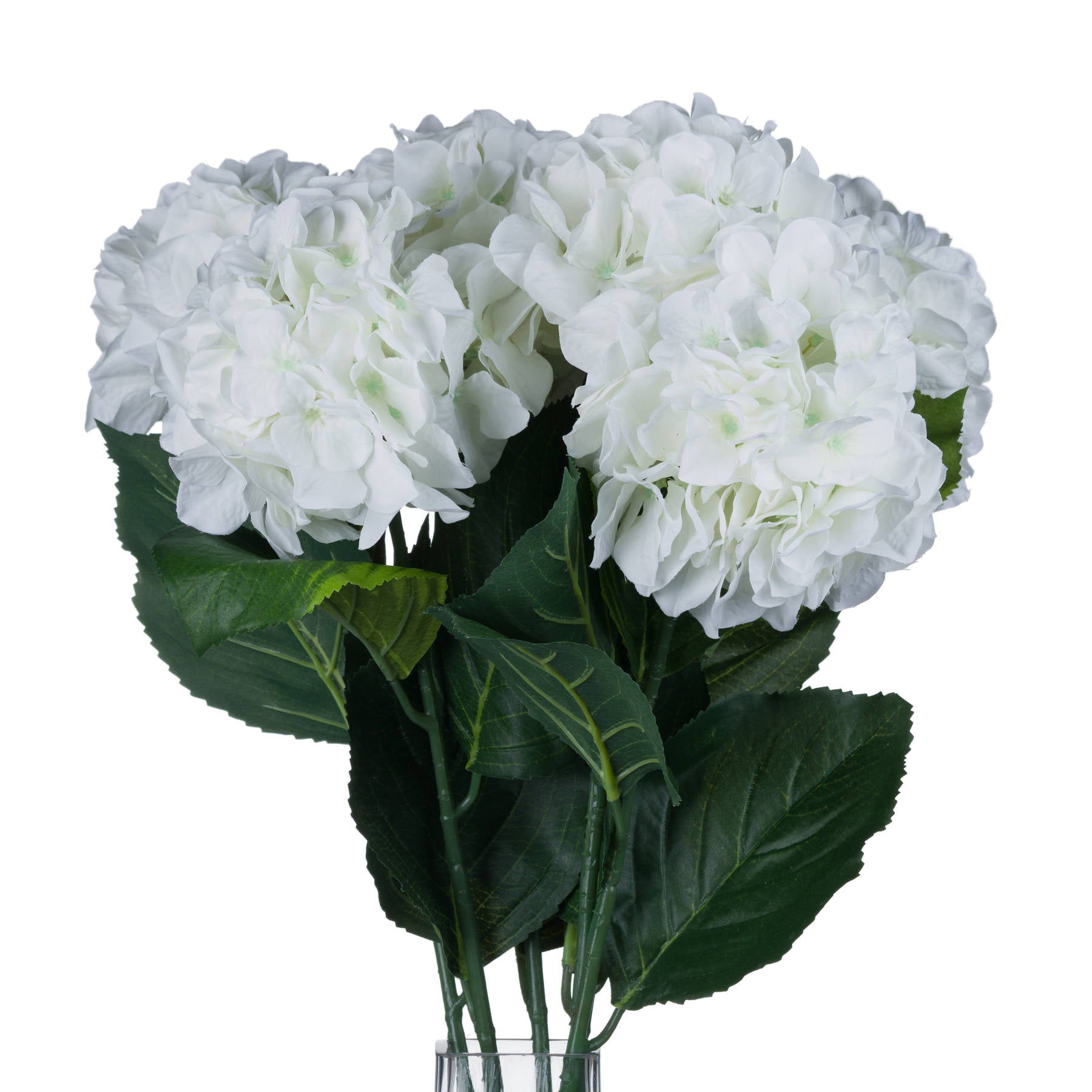 White Small Head Hydrangea 71 cm