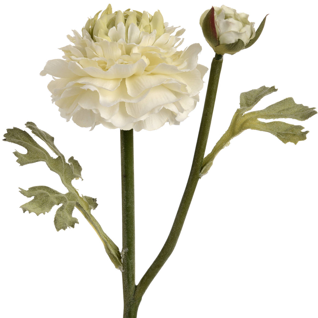 Green Ranunculus Spray 44 cm