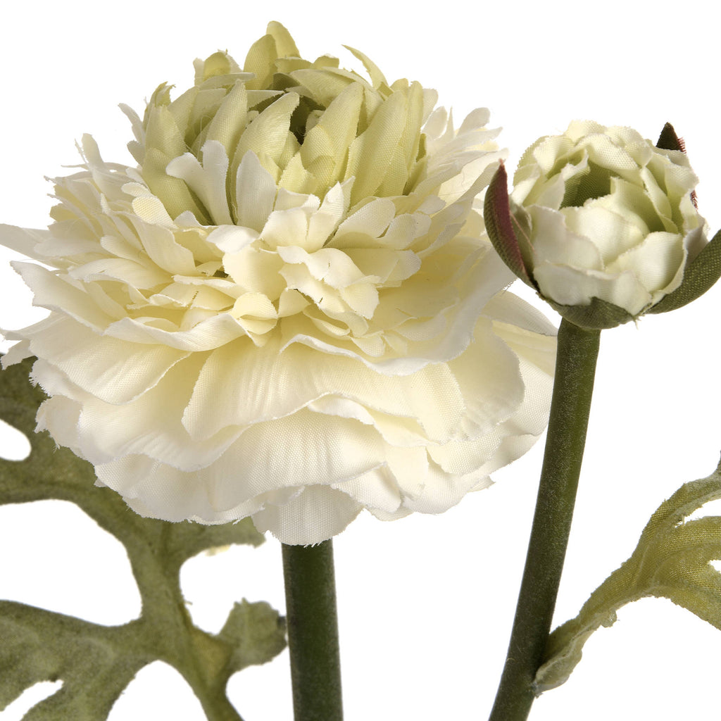 Green Ranunculus Spray 44 cm