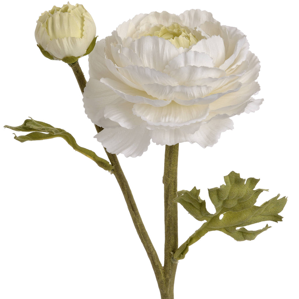 White Ranunculus Spray 45 cm