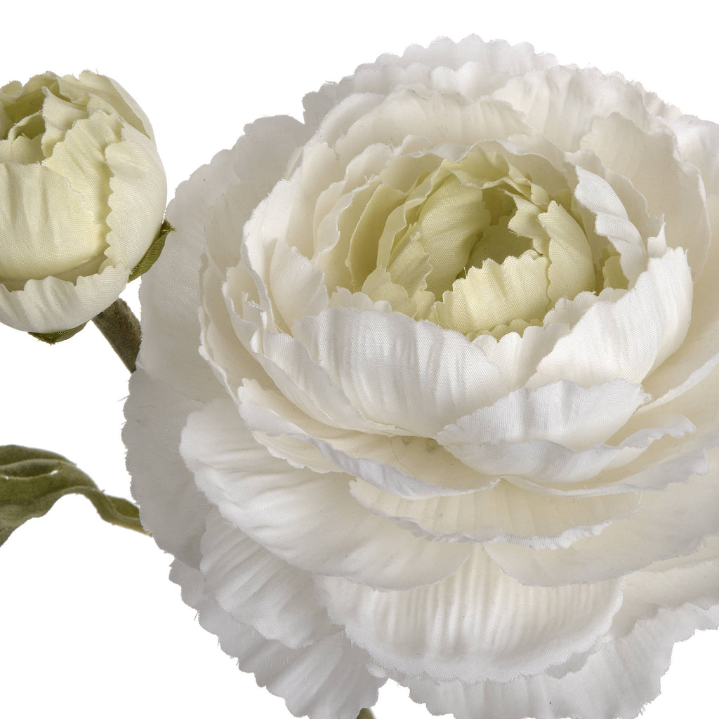 White Ranunculus Spray 45 cm
