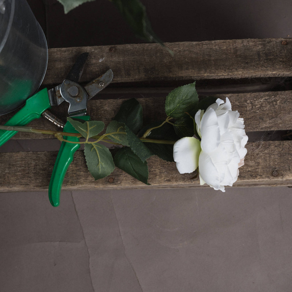 Blush Garden Rose 64 cm
