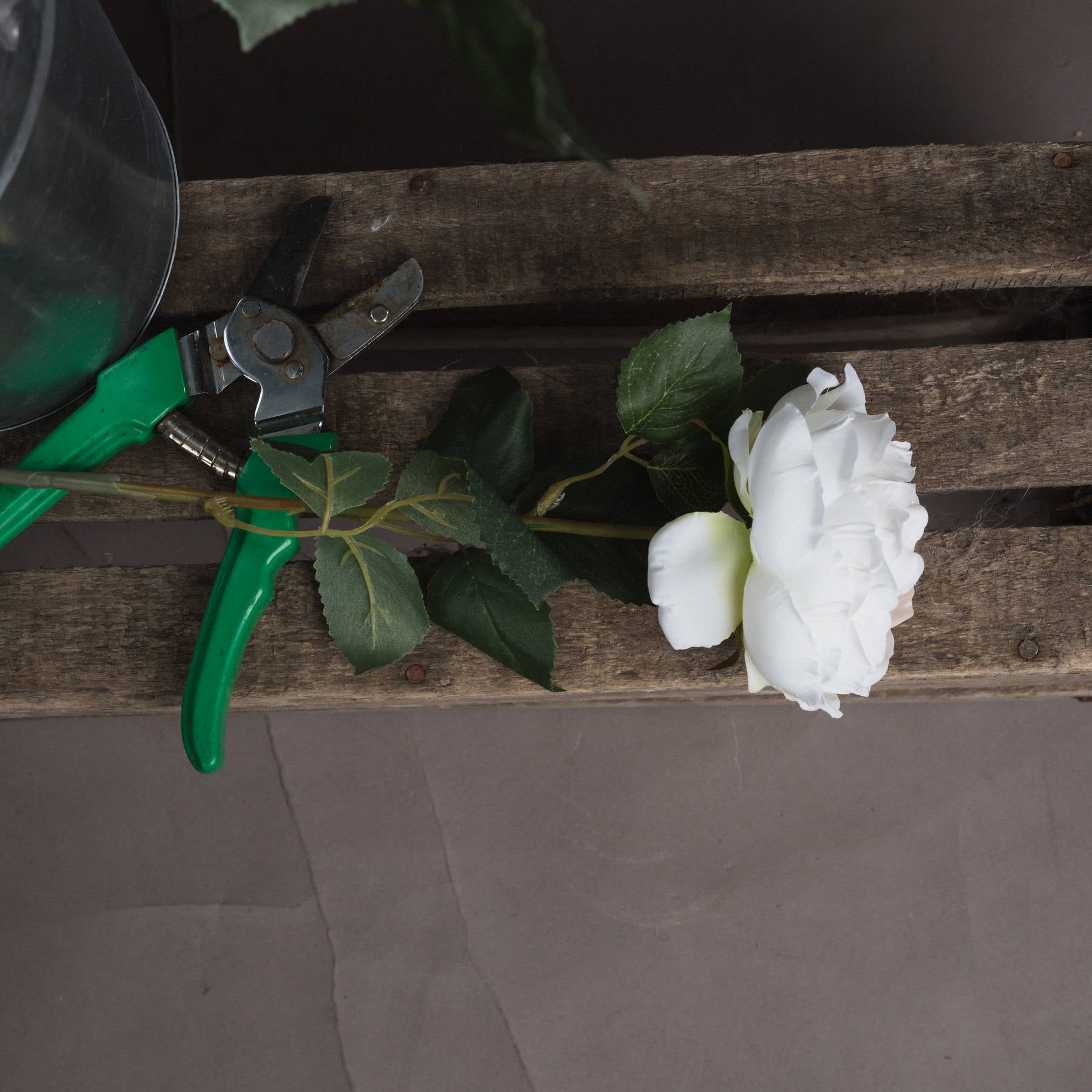 Blush Garden Rose 64 cm