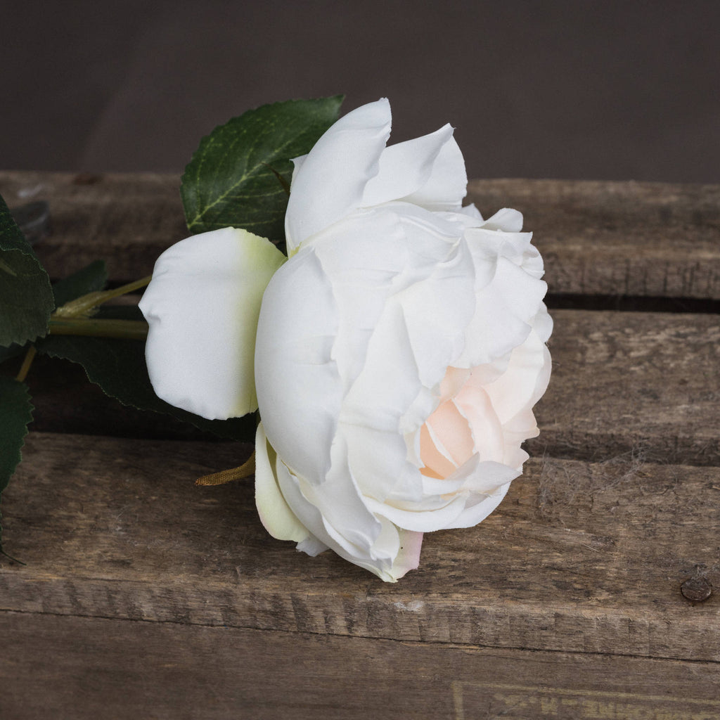 Blush Garden Rose 64 cm