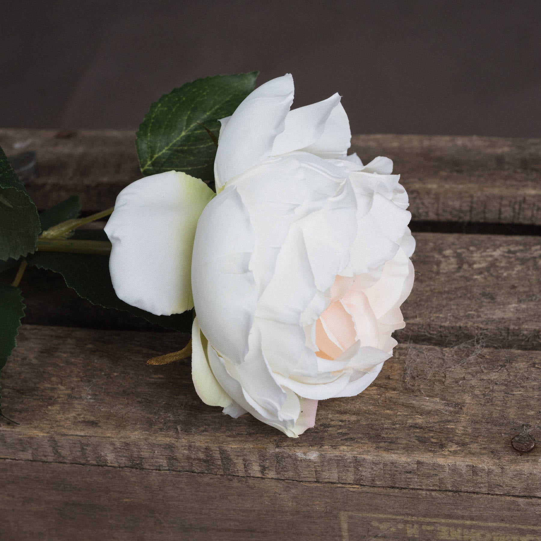 Blush Garden Rose 64 cm