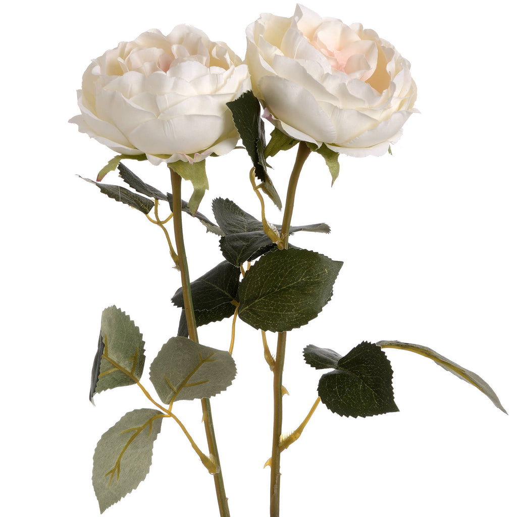 Blush Garden Rose 64 cm