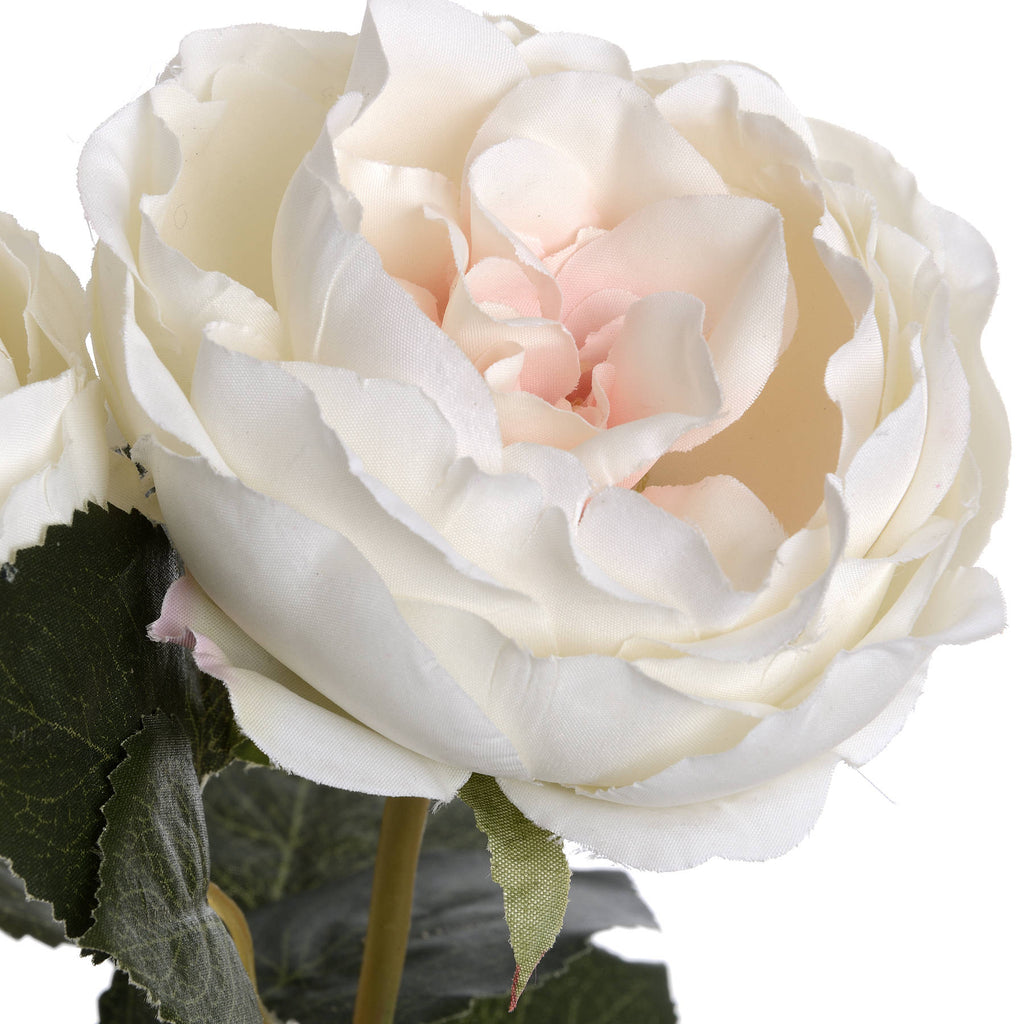 Blush Garden Rose 64 cm