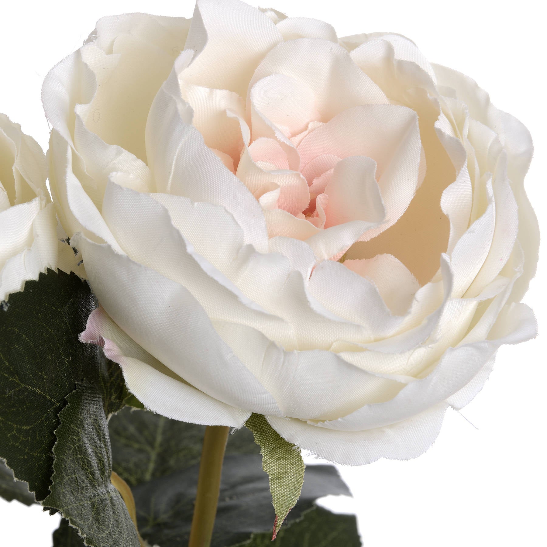 Blush Garden Rose 64 cm