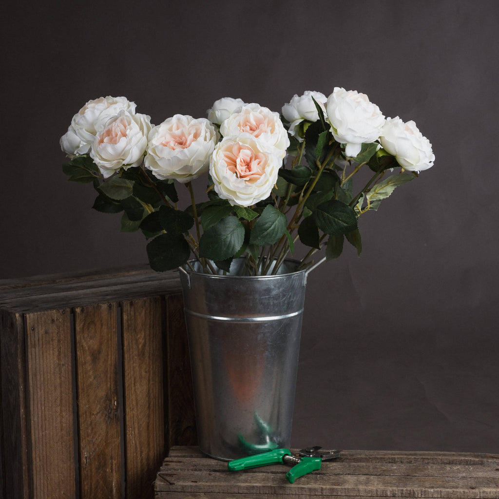 Blush Garden Rose 64 cm