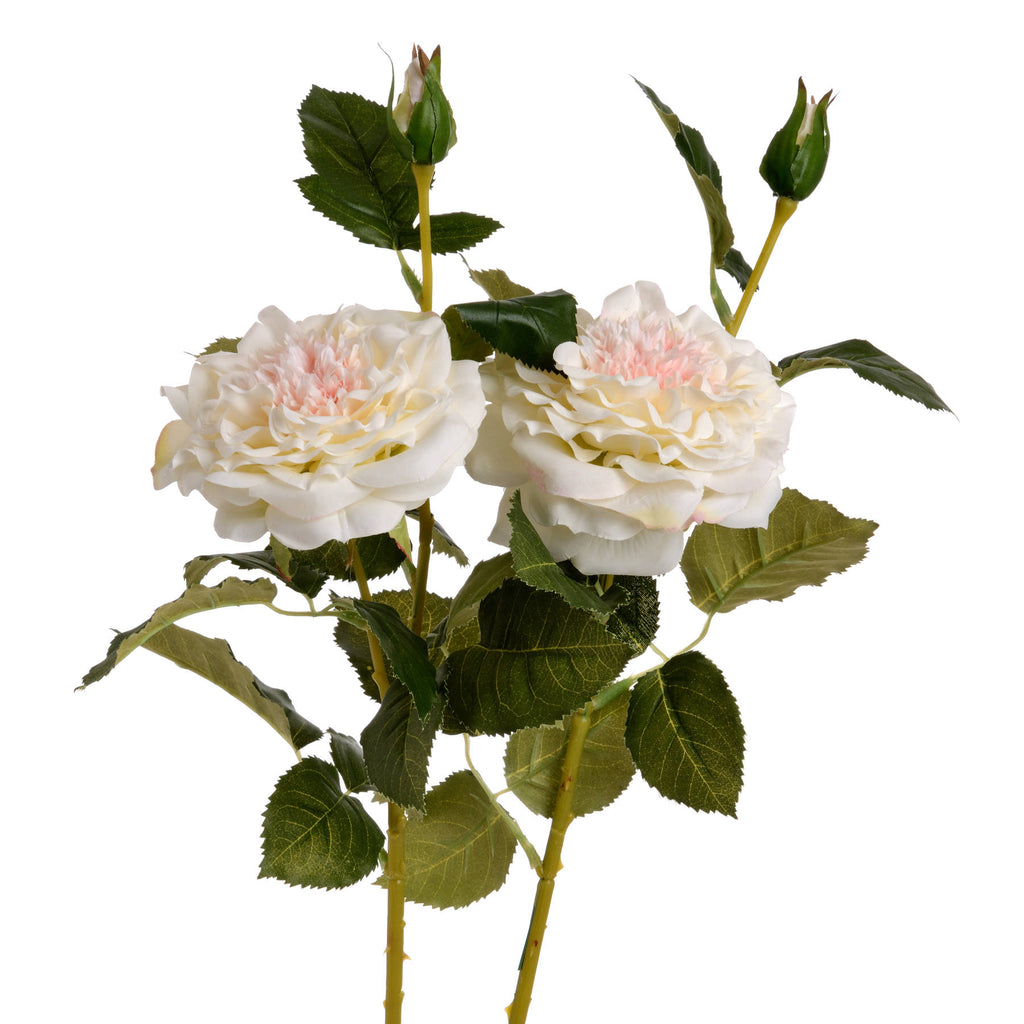 White Garden Rose Spray 68 cm