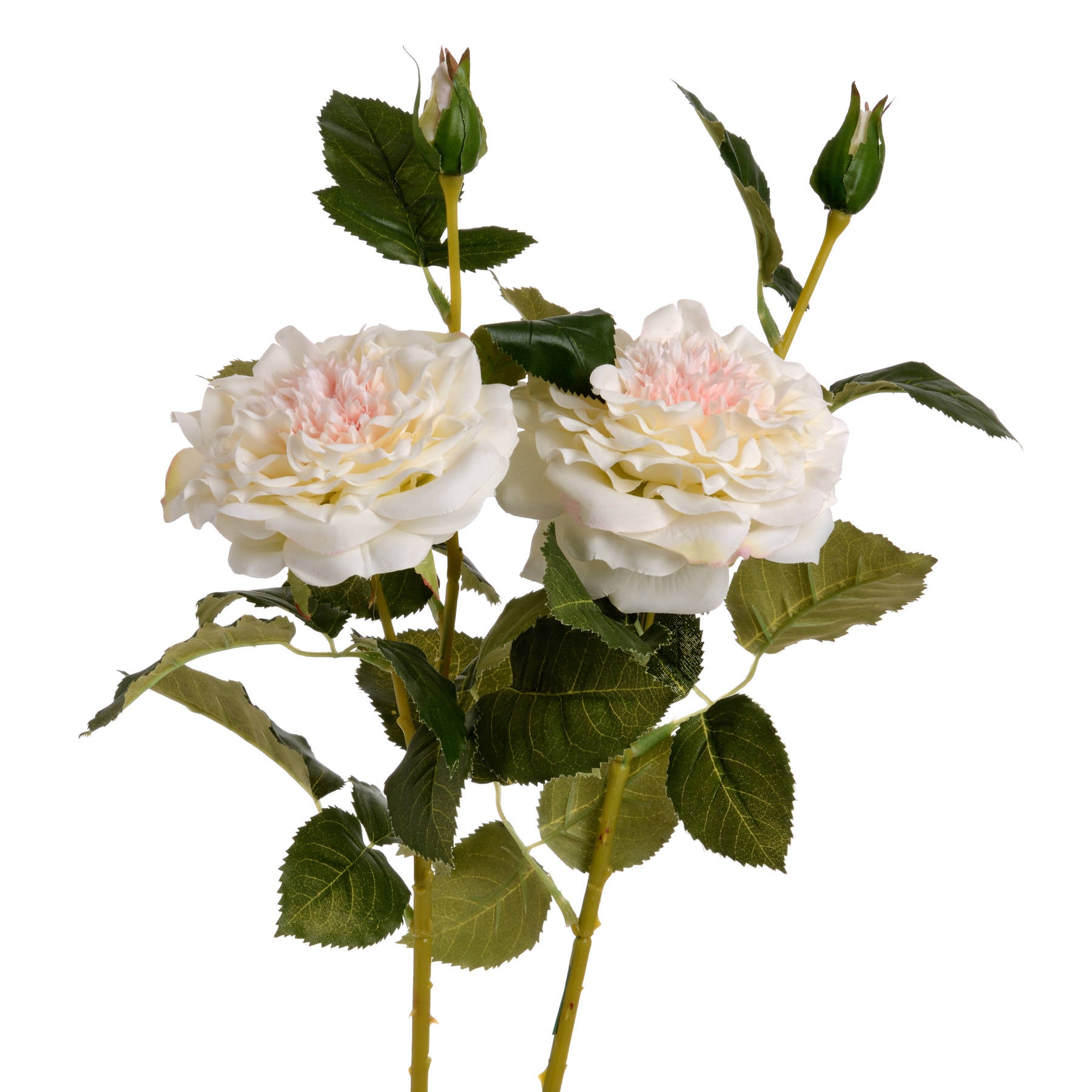 White Garden Rose Spray 68 cm