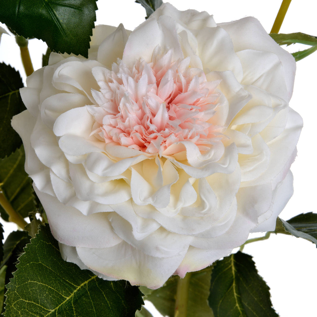 White Garden Rose Spray 68 cm