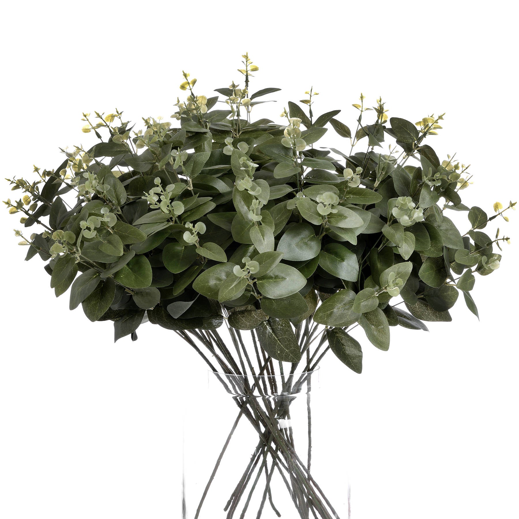 Cineraria Eucalyptus Spray 62 cm
