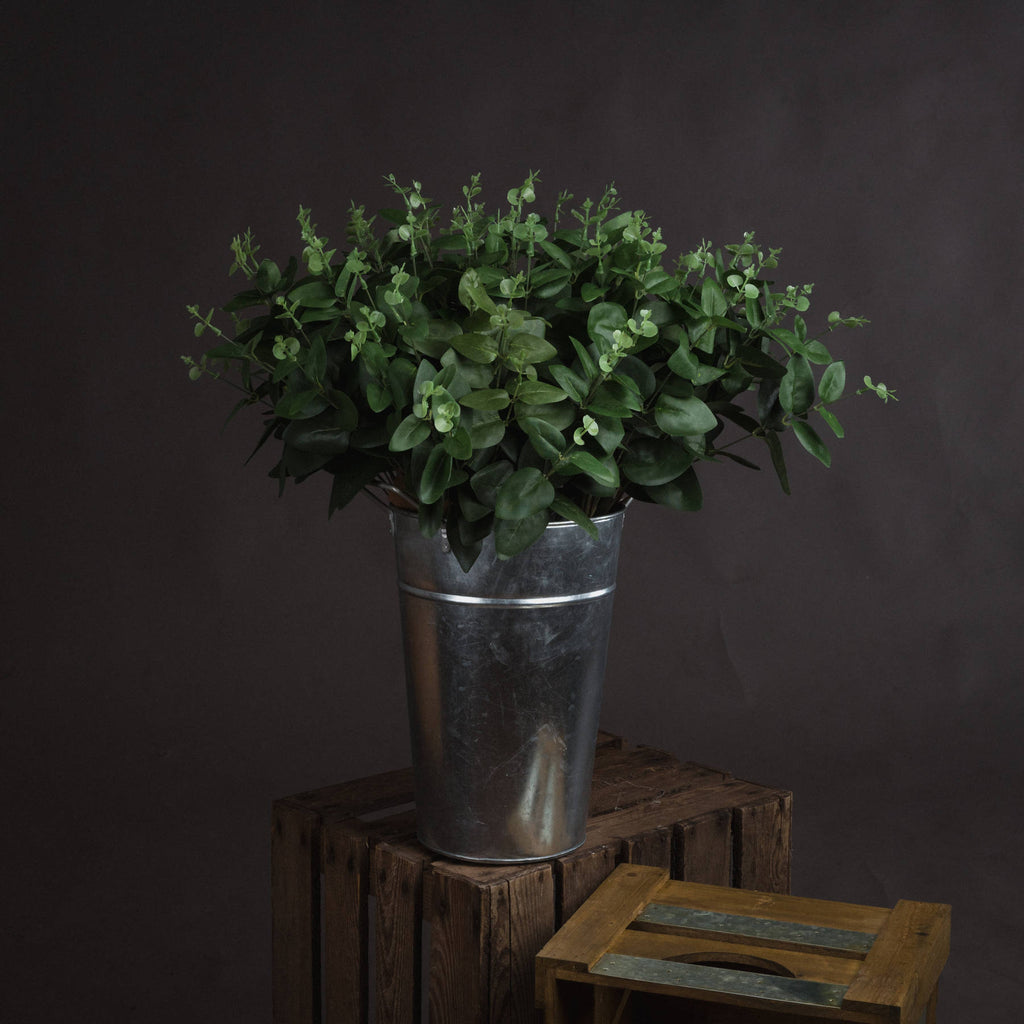 Cineraria Eucalyptus Spray 62 cm