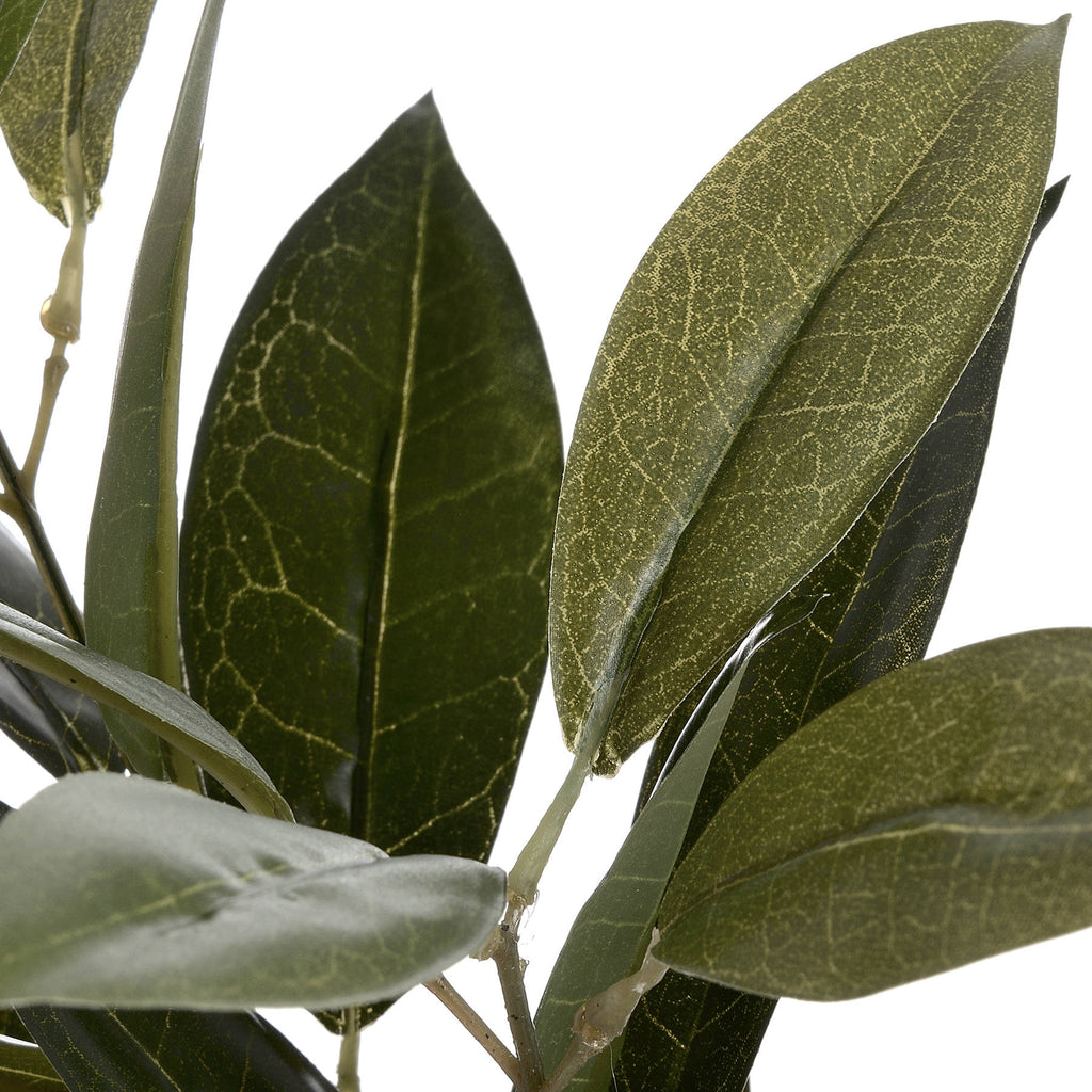 Faux Bay Leaf Spray 65 cm