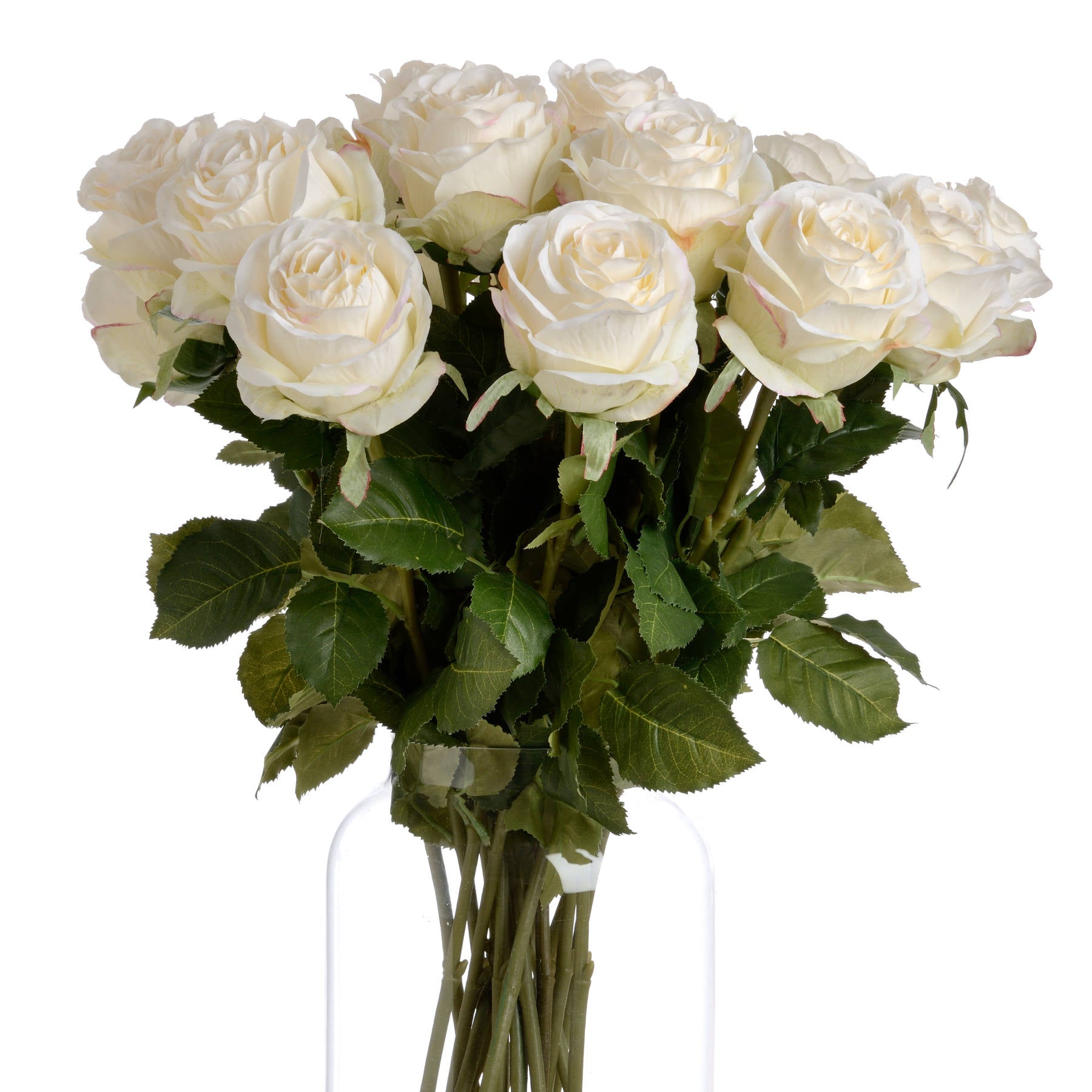 Traditional White Rose 71 cm