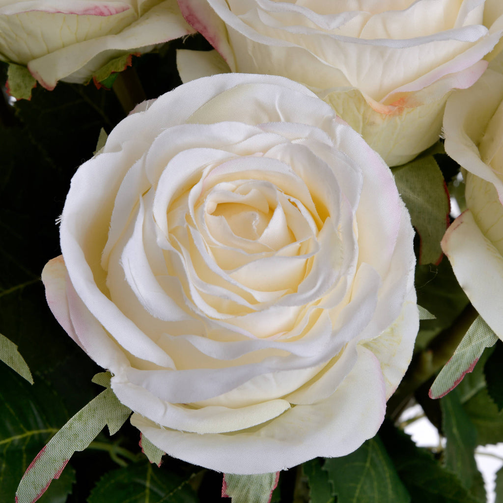 Traditional White Rose 71 cm