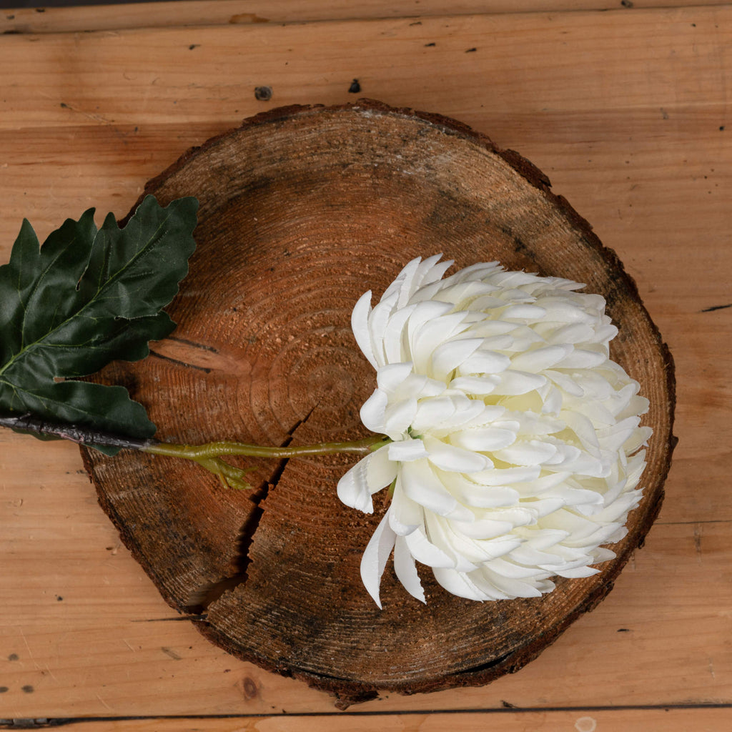 Large White Chrysanthemum 87 cm