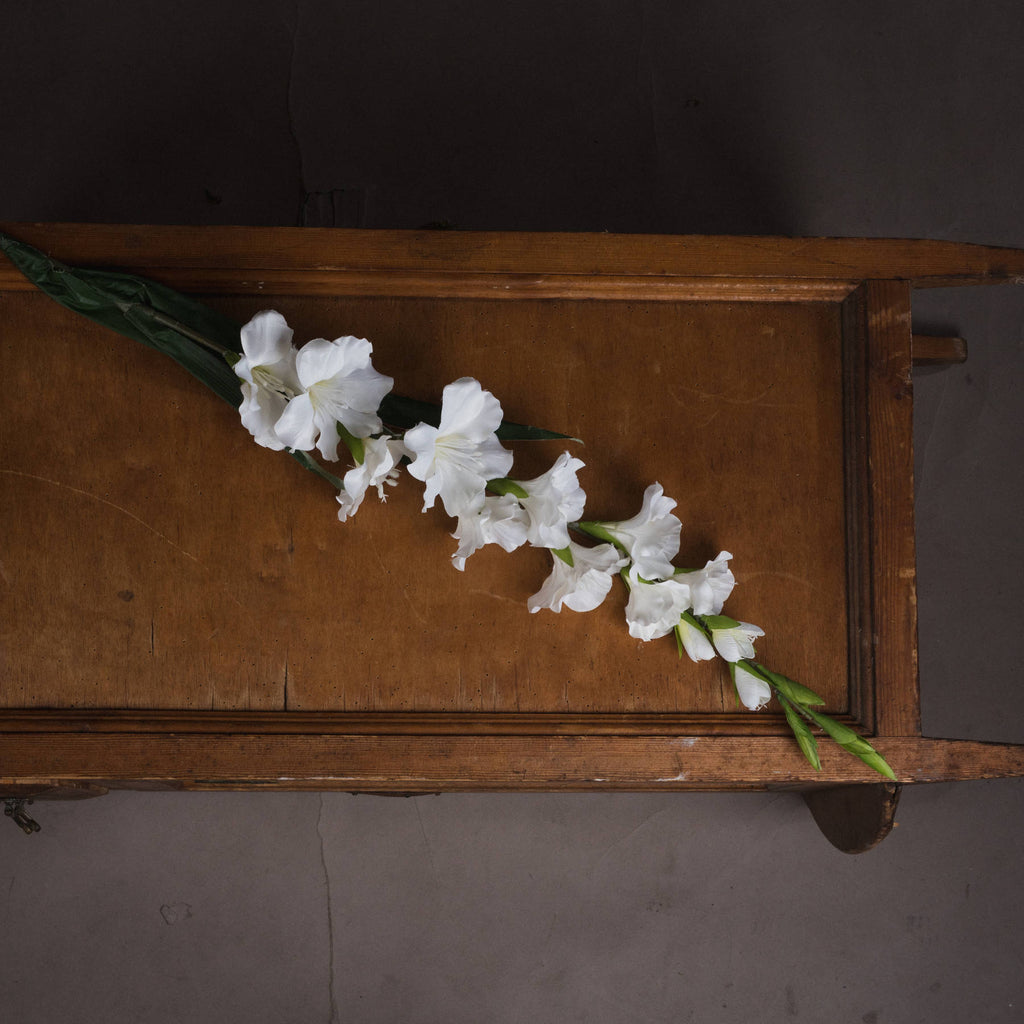 White Gladioli 108 cm