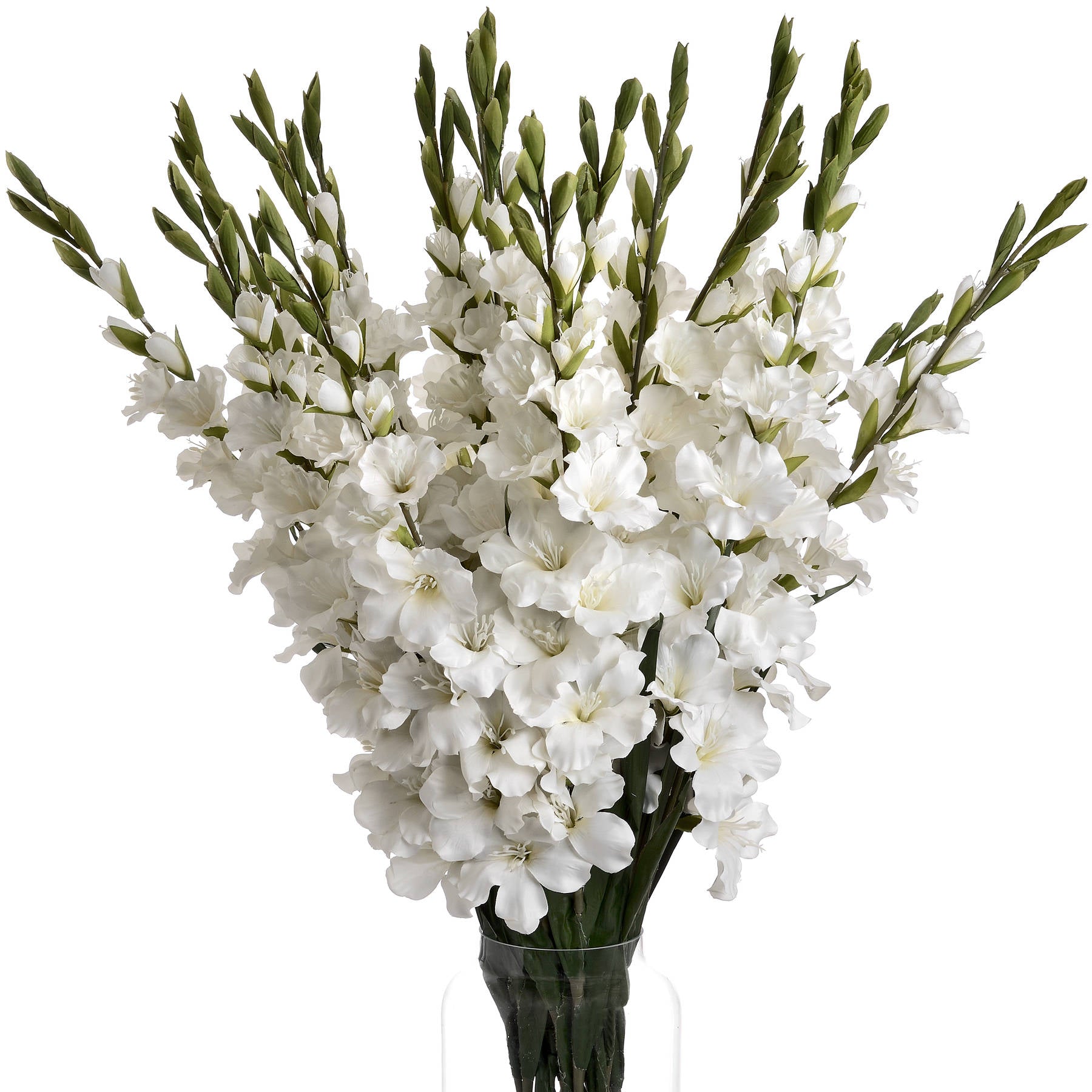 White Gladioli 108 cm
