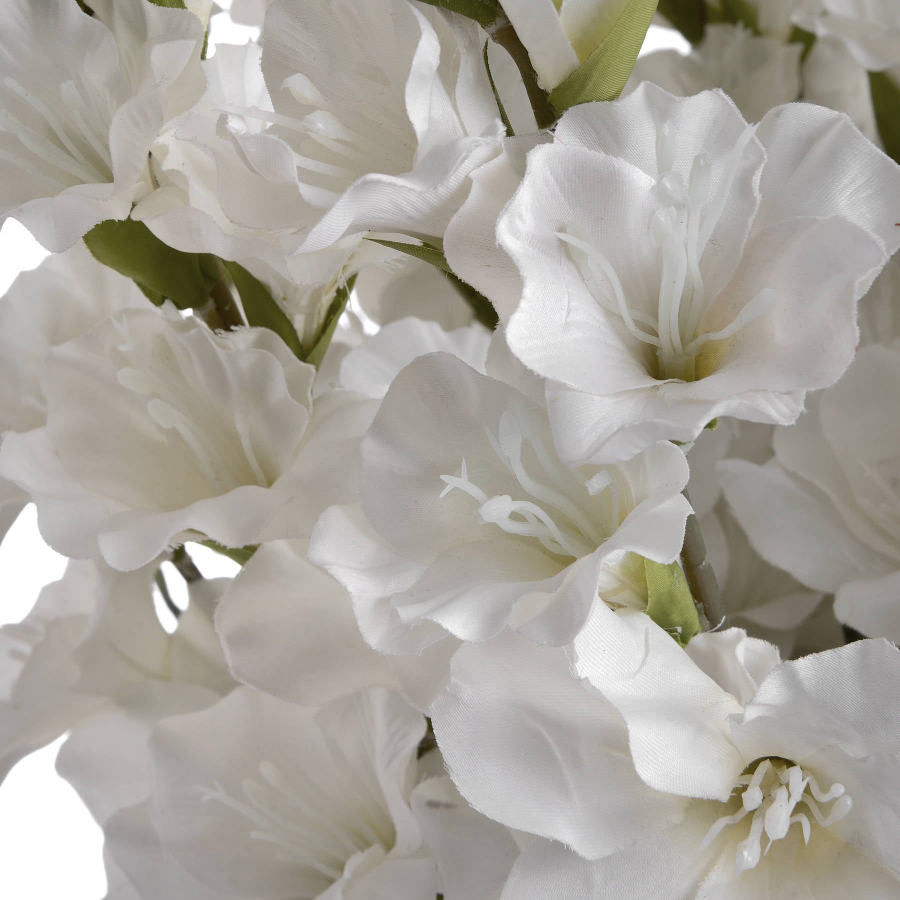 White Gladioli 108 cm