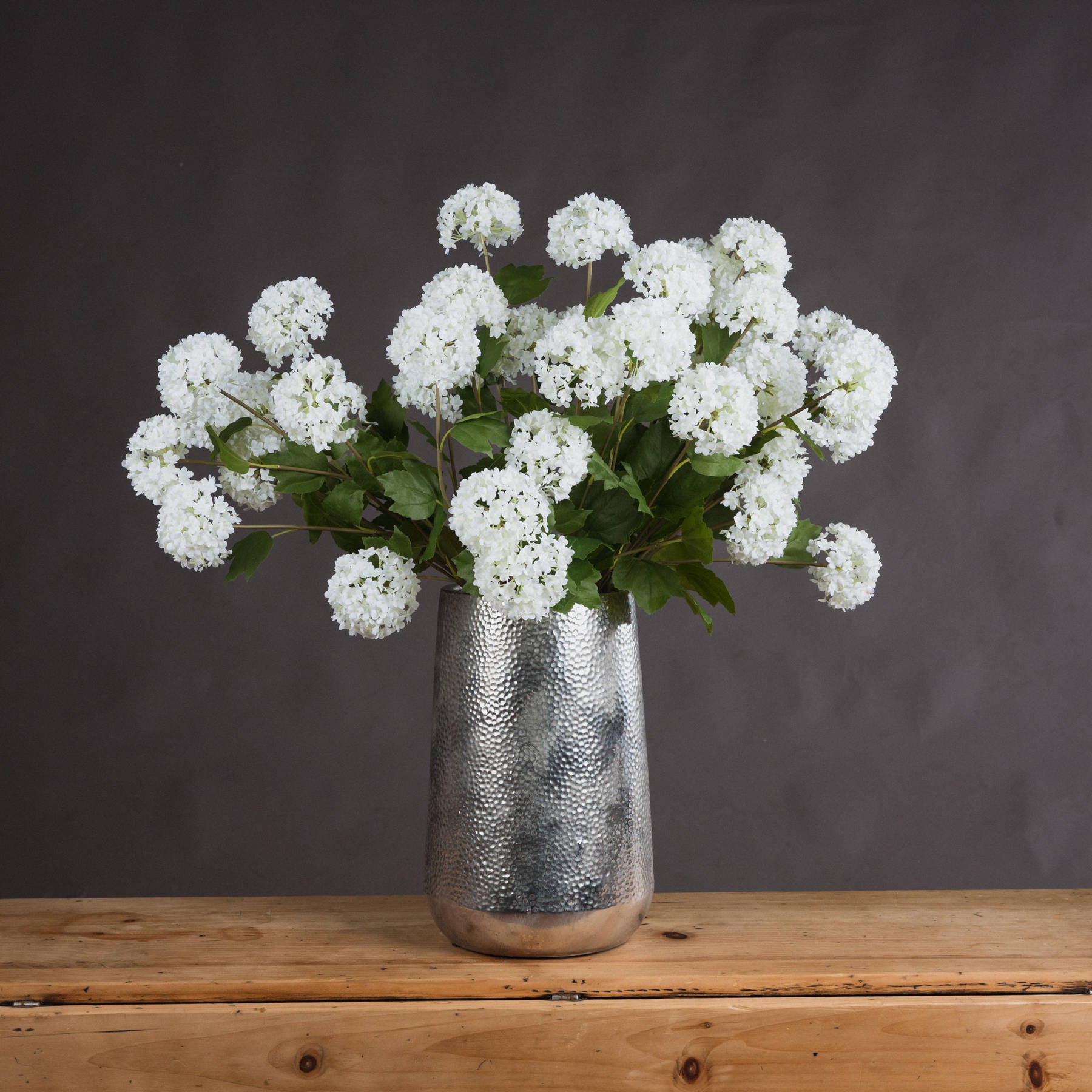 Viburnum Opulus 75 cm
