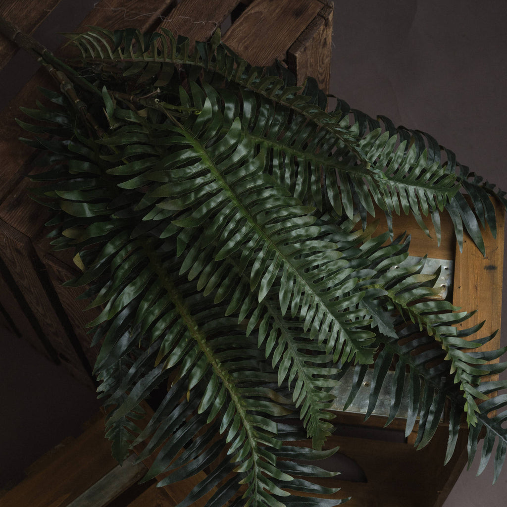 Fern Bunch 80 cm