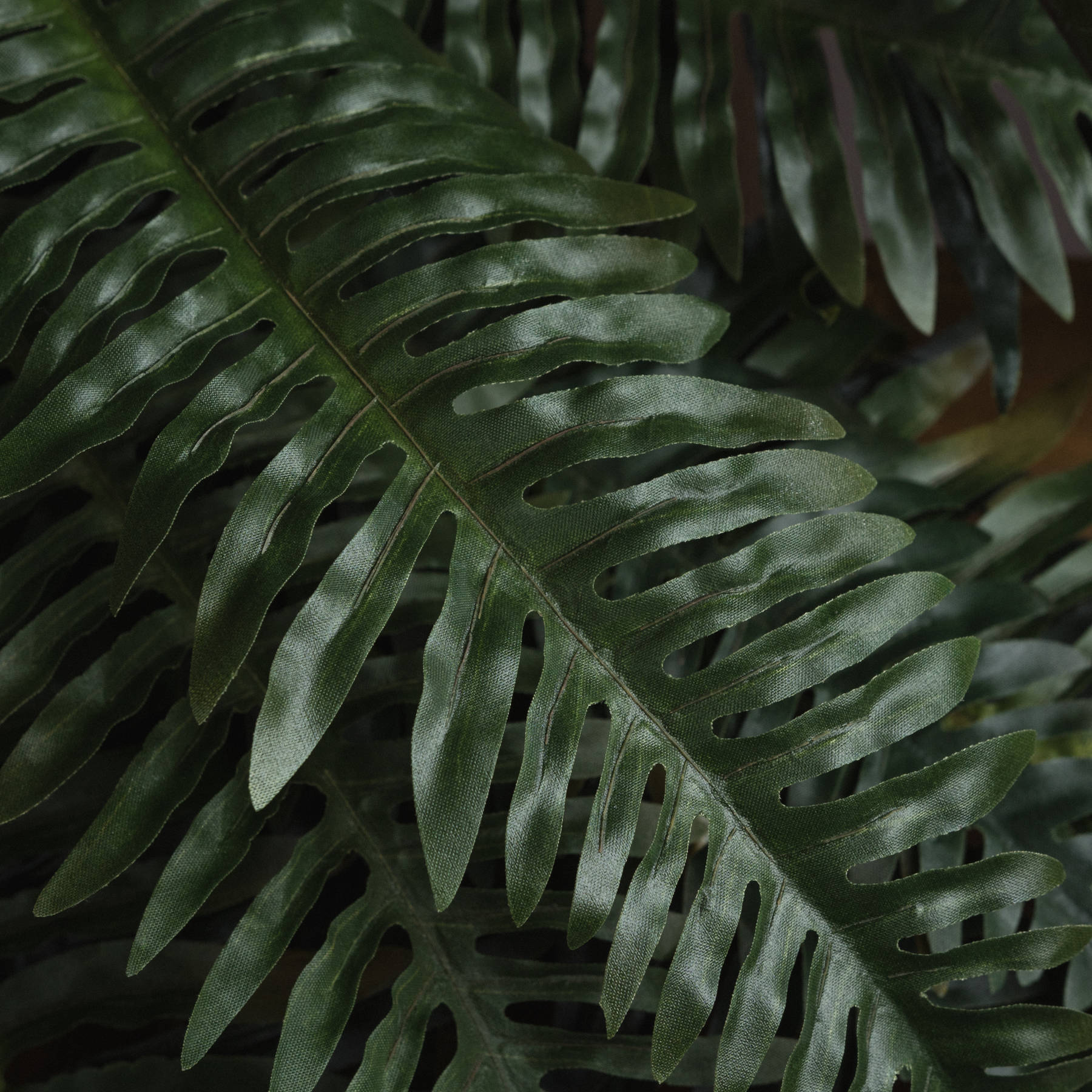 Fern Bunch 80 cm