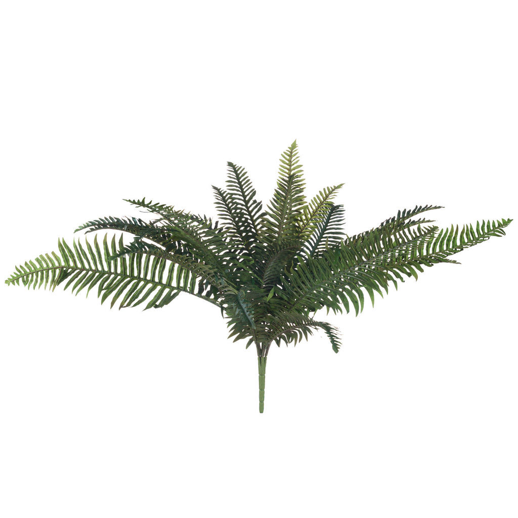 Fern Bunch 80 cm
