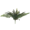 Fern Bunch 80 cm