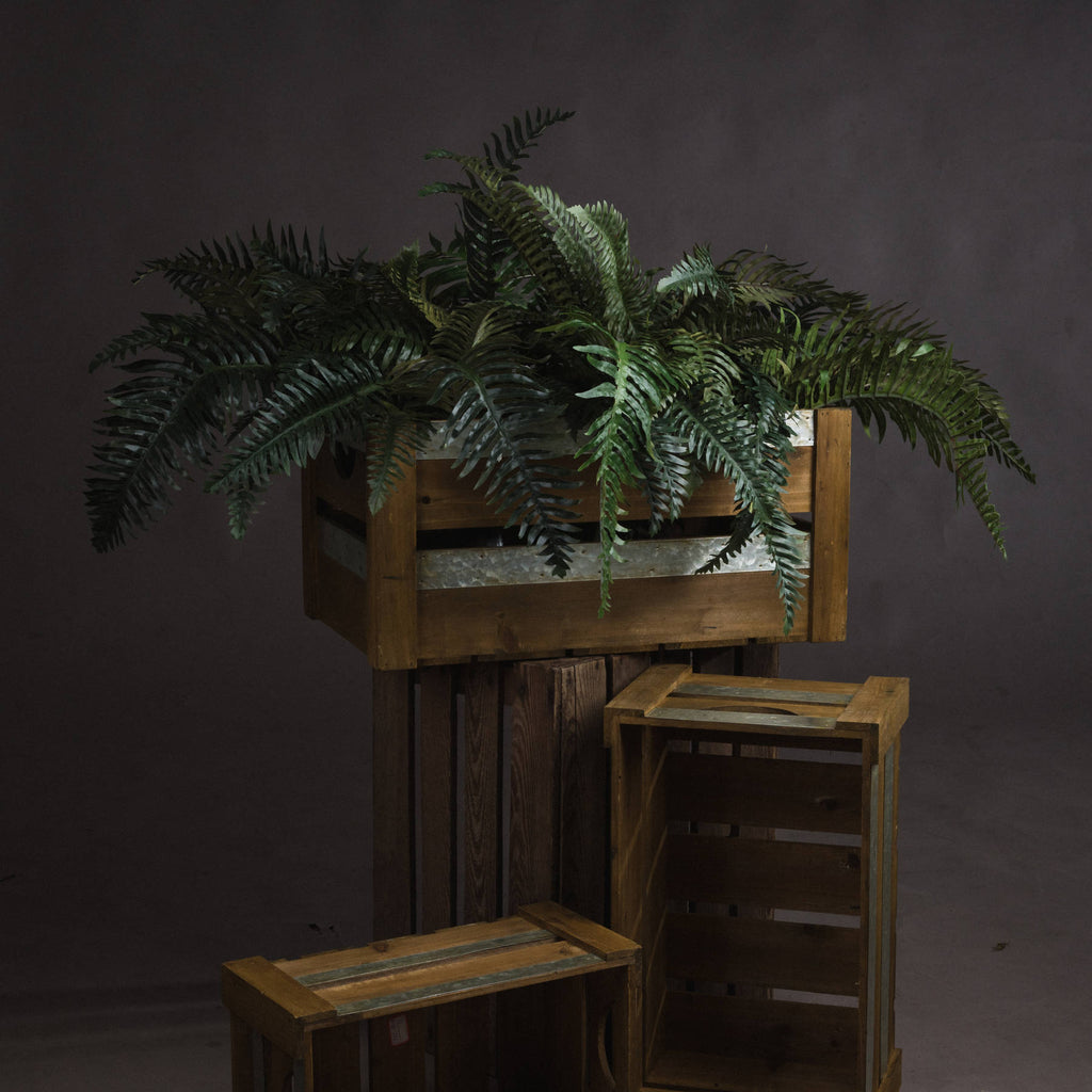 Fern Bunch 80 cm