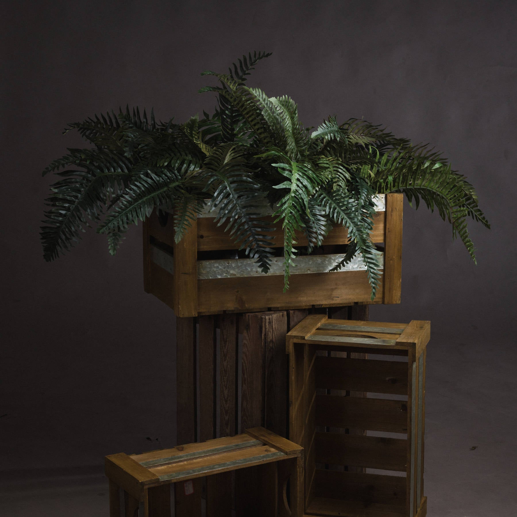Fern Bunch 80 cm