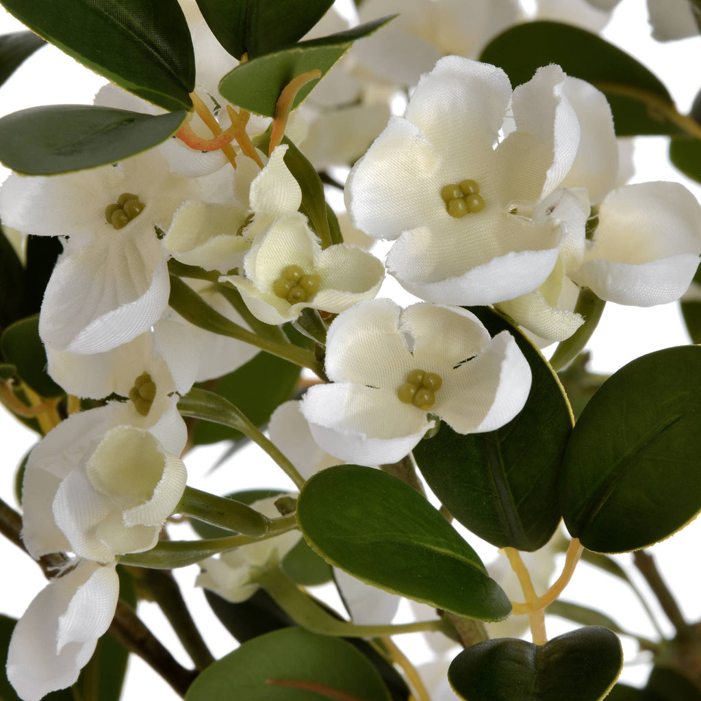 White Spring Mock Orange Flower 92 cm