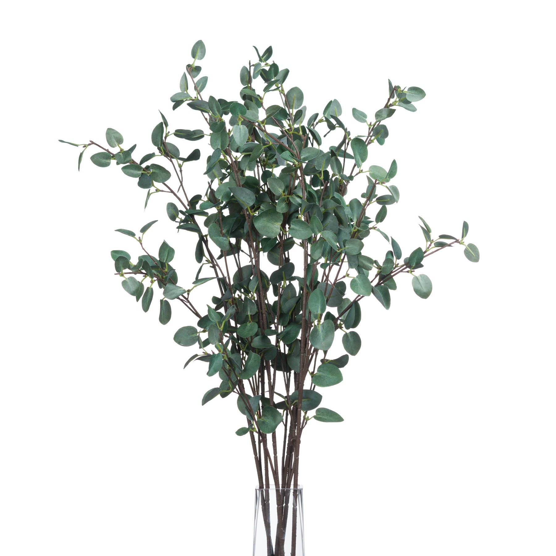 Tall Eucalyptus Stem 96 cm