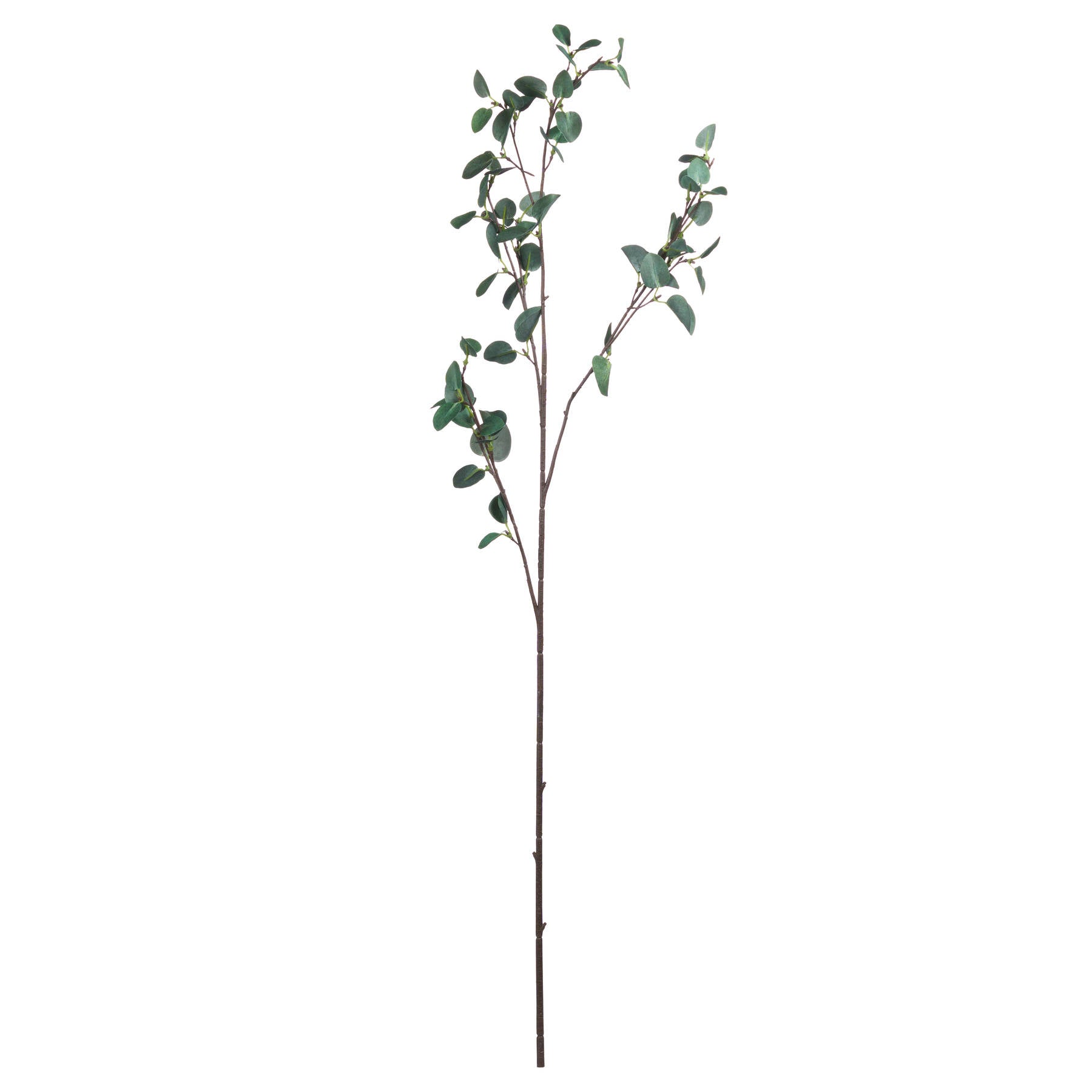 Tall Eucalyptus Stem 96 cm