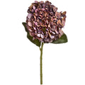 Autumn Coffee Hydrangea 42 cm
