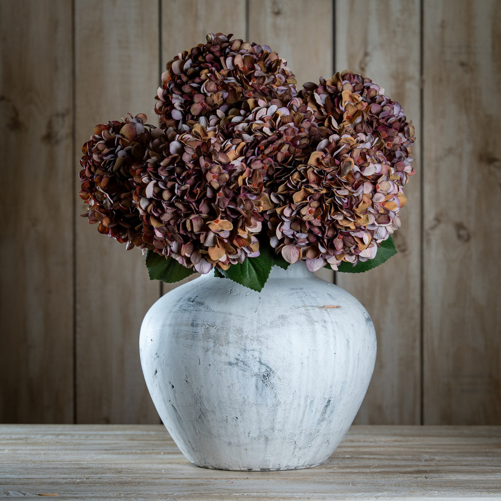 Autumn Coffee Hydrangea 42 cm