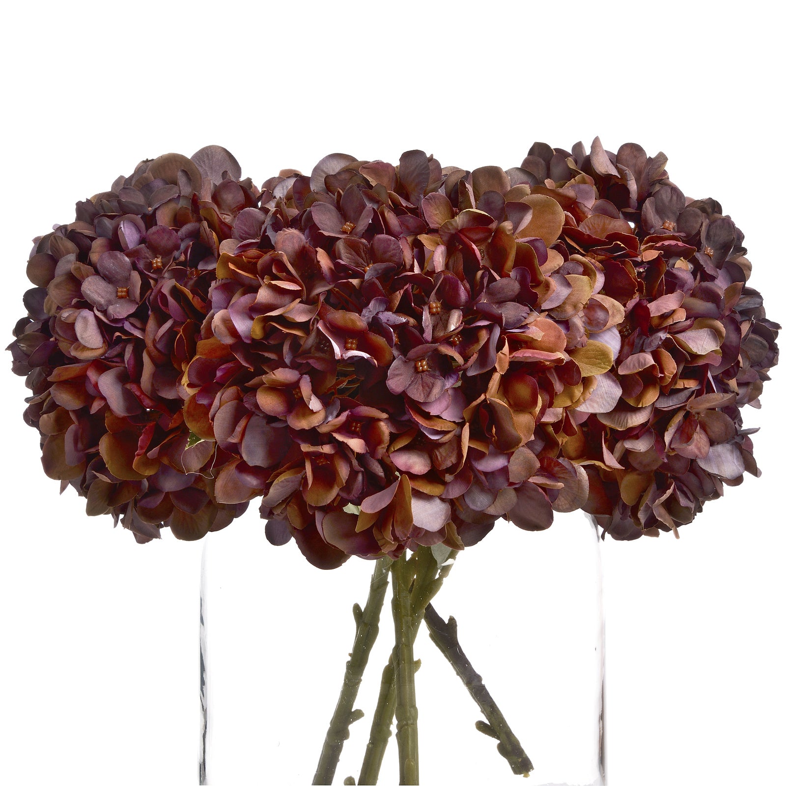 Autumn Coffee Hydrangea 42 cm
