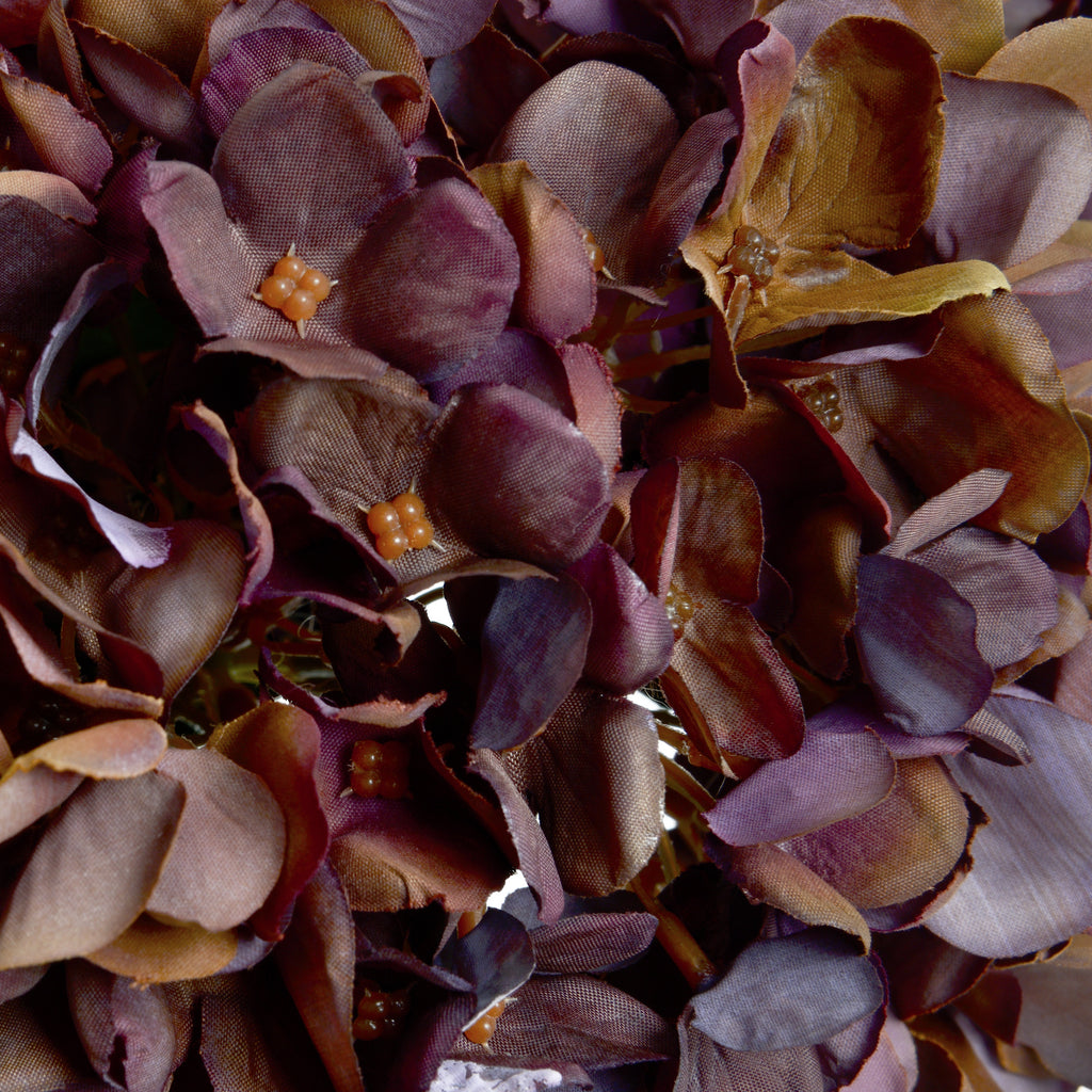 Autumn Coffee Hydrangea 42 cm