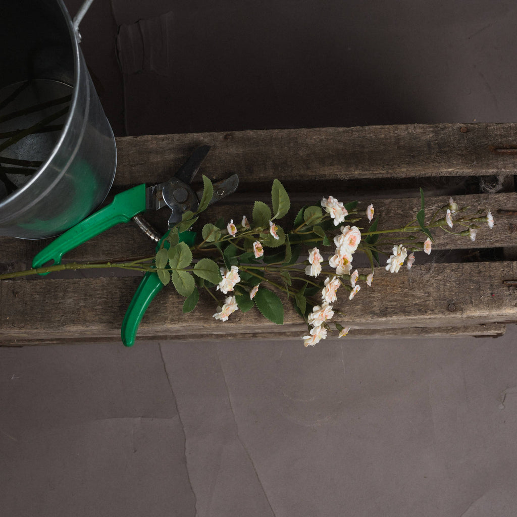 Cream Wild Meadow Rose 74 cm