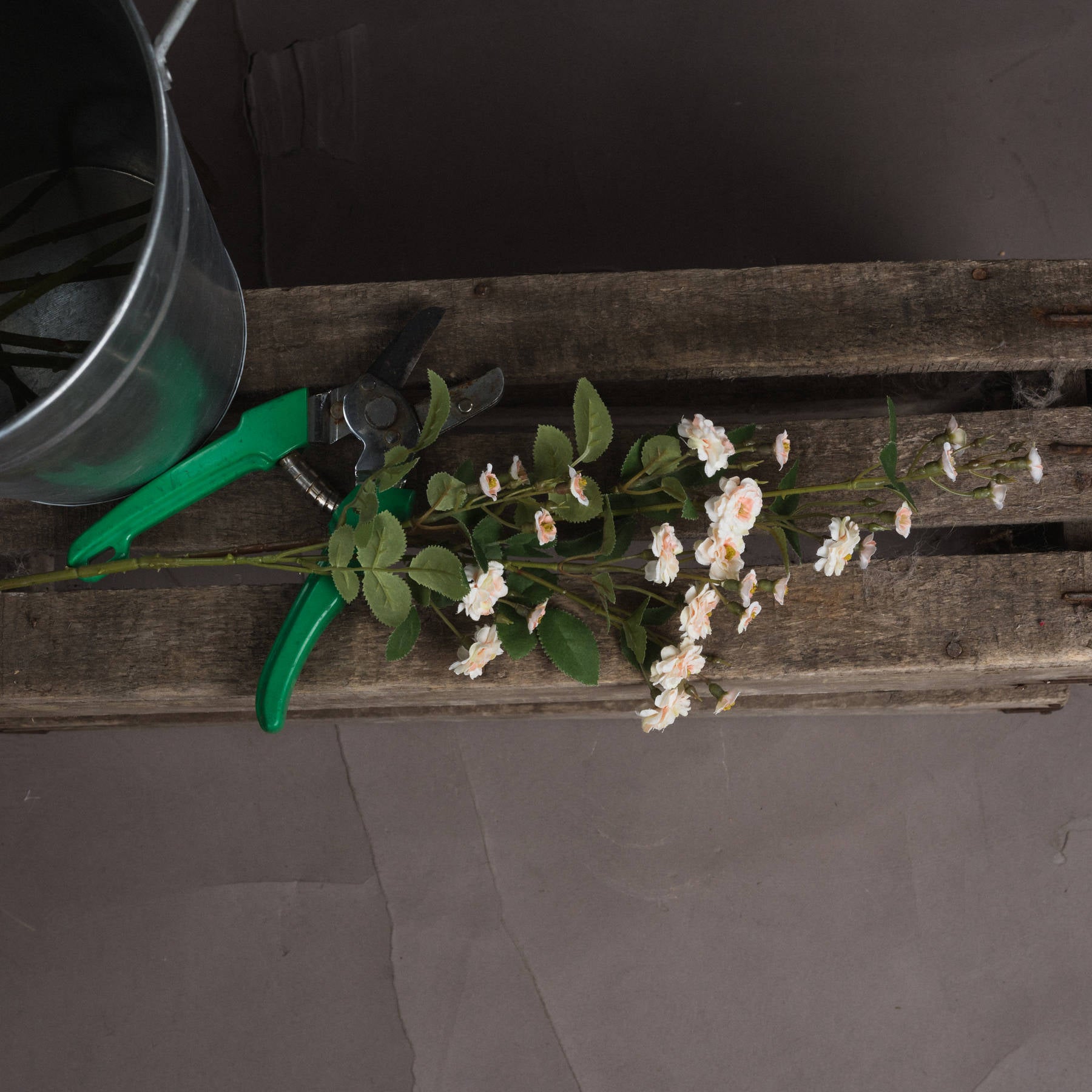 Cream Wild Meadow Rose 74 cm