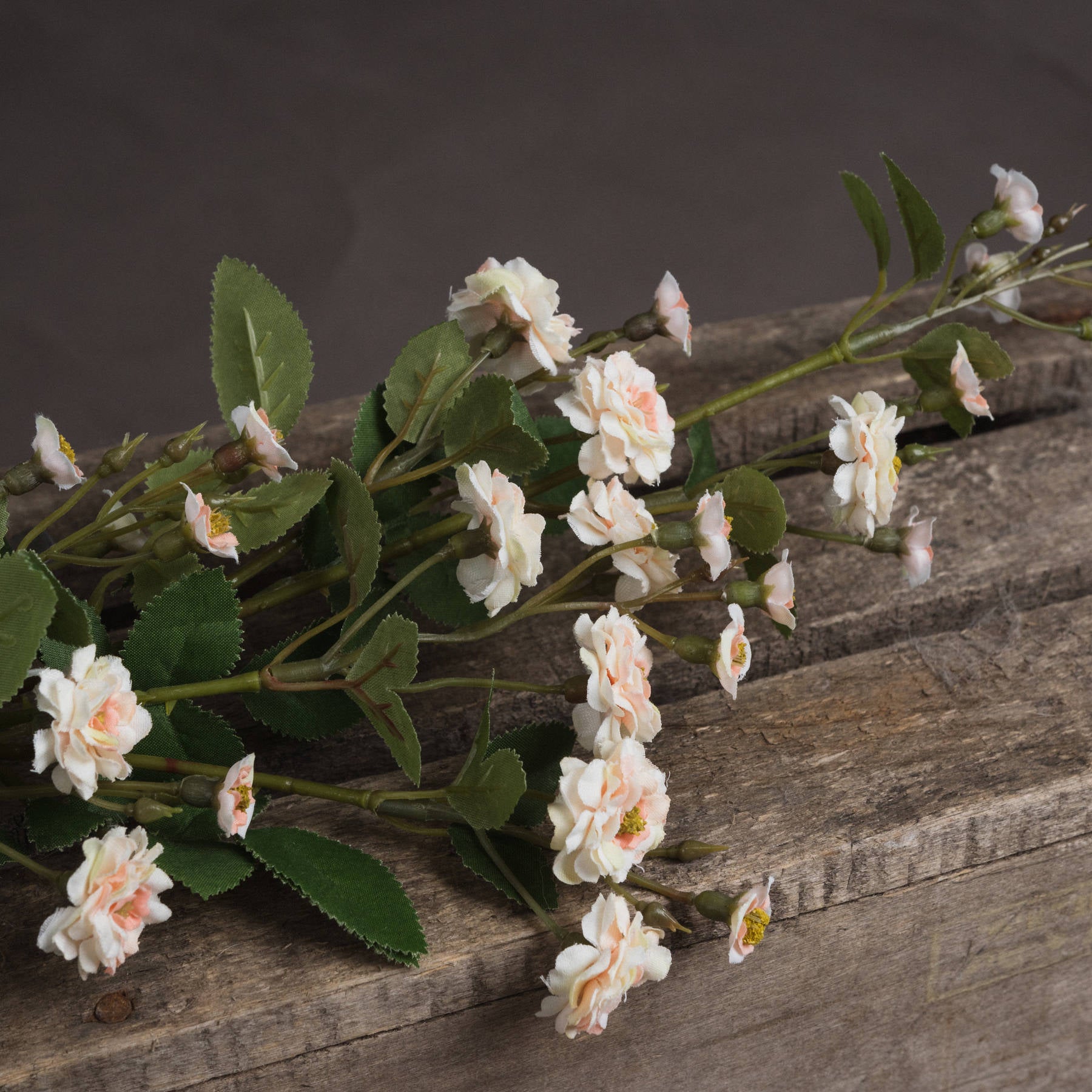 Cream Wild Meadow Rose 74 cm