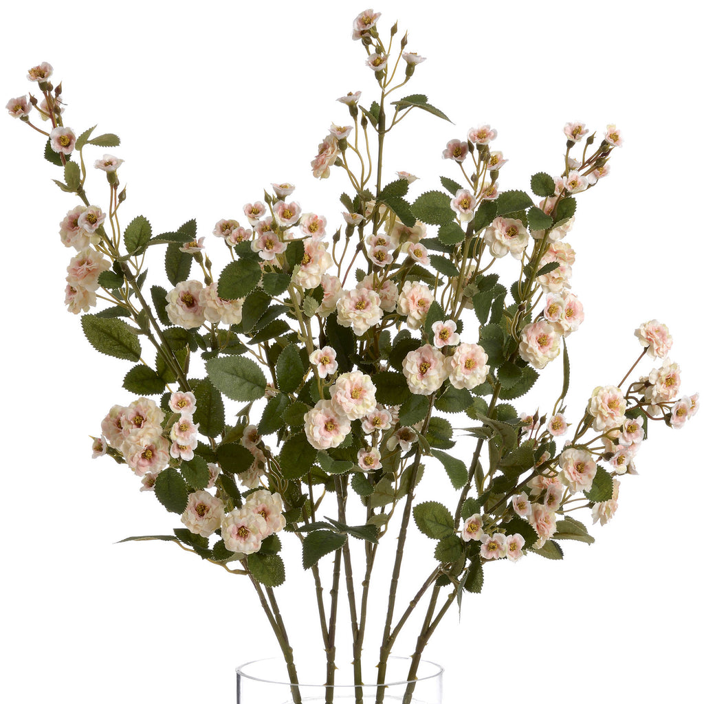 Cream Wild Meadow Rose 74 cm