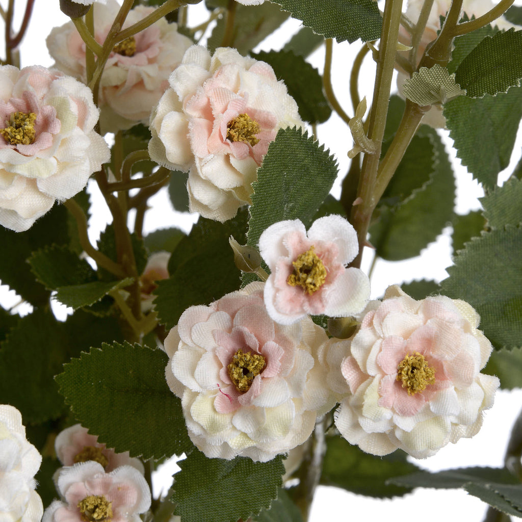 Cream Wild Meadow Rose 74 cm