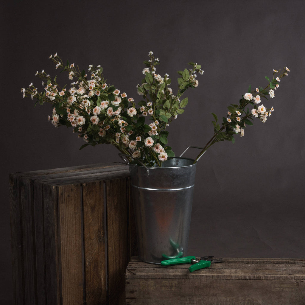 Cream Wild Meadow Rose 74 cm