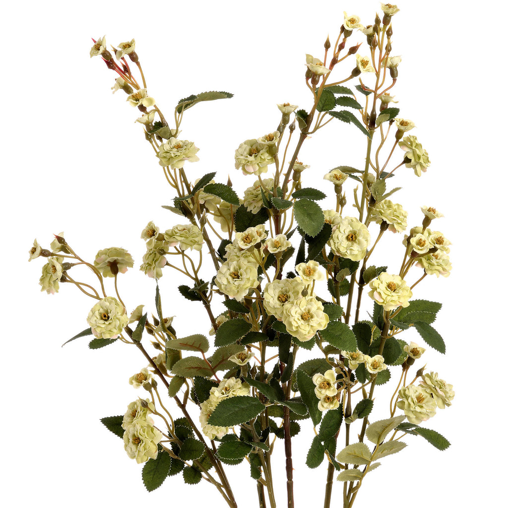 Green Wild Meadow Rose 74 cm