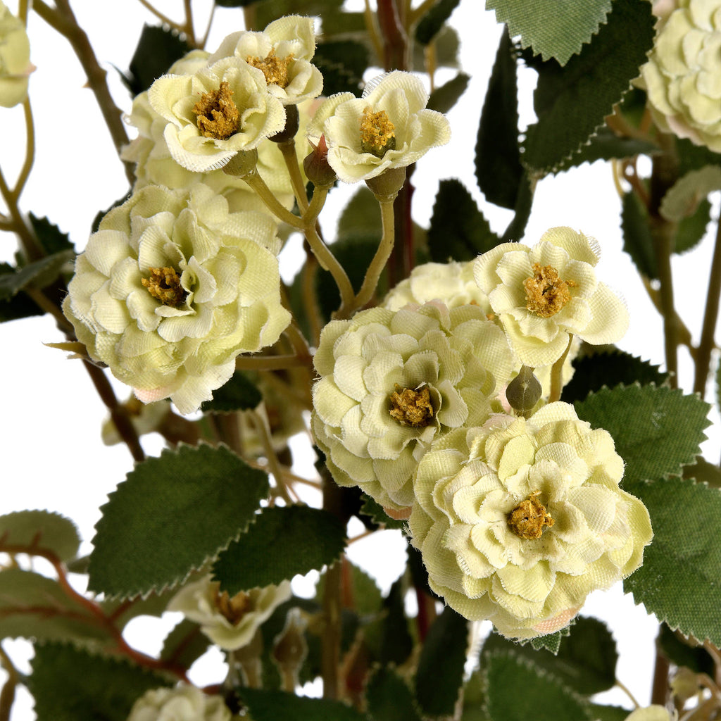 Green Wild Meadow Rose 74 cm