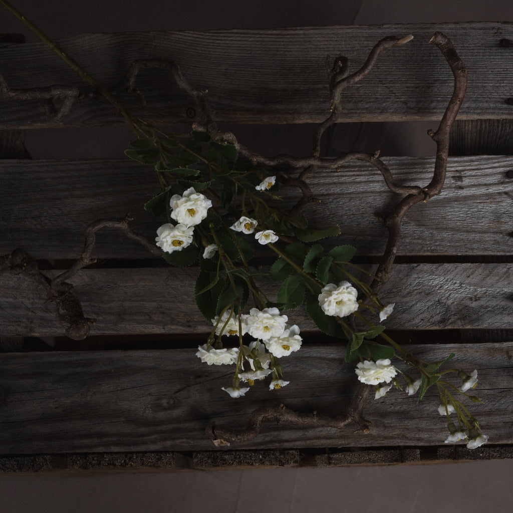 White Wild Meadow Rose 74 cm